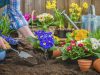 I 4 migliori consigli autunnali per il tuo giardino giardino