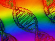 Alcune persone continuano a chiedere: esiste un “gene gay”? gene gay