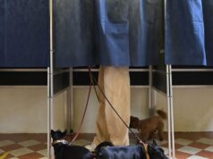 Referendum, l’Italia al voto. Boom dell’affluenza, al 38,9% alle 19
