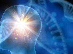 Il rapporto tra l’uomo e l’IA funziona meglio se la mente umana è curiosa e creativa