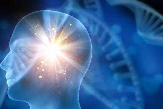 Il rapporto tra l’uomo e l’IA funziona meglio se la mente umana è curiosa e creativa