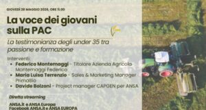 Ad ANSAIncontra la voce dei giovani agricoltori sulla Pac