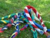 Svolta storica per gli scout italiani, Agesci apre alle guide Lgbt