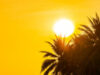 Ondata di caldo in Europa: in Francia alcol vietato nelle zone rosse, tuffi a Parigi