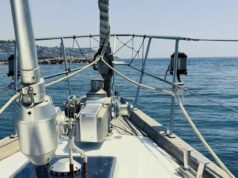 Avvistata al largo di Sanremo una famiglia di capodogli