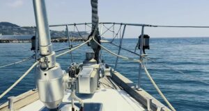 Avvistata al largo di Sanremo una famiglia di capodogli