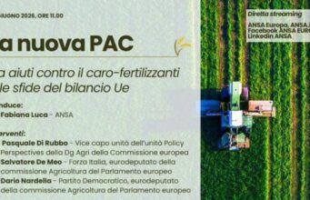 La nuova Pac tra il bilancio Ue e il caro-fertilizzanti, forum ANSA