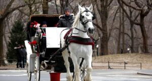 New York verso l’addio alle carrozzelle di Central Park