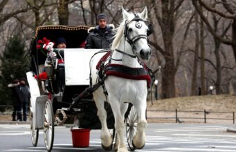 New York verso l’addio alle carrozzelle di Central Park