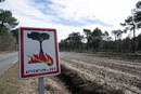 Centinaia di persone fuggono in barca dall’incendio a Cap Ferret
