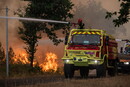 Incendio sul Gargano, turisti evacuati sulle barche della guardia costiera