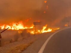 Inferno in Andalusia, almeno 12 morti intrappolati dalle fiamme