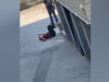 Fakir, nuovo video dai familiari. “Dimostra che era tranquillo”
