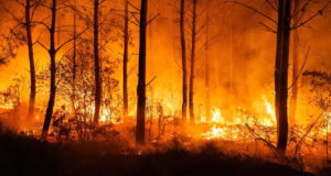 Oltre 220mila persone evacuate per gli incendi fra Francia e Spagna