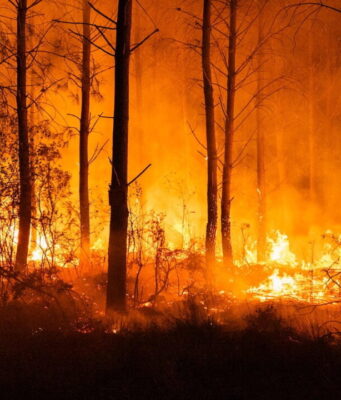 Oltre 220mila persone evacuate per gli incendi fra Francia e Spagna