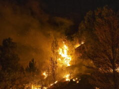 Bosco in fiamme in Spagna, almeno 12 morti