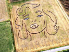 Il volto di Marilyn Monroe disegnato su un campo nel Veronese