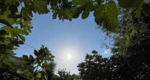 Caldo e afa non mollano, l’allerta fino a dopo ferragosto